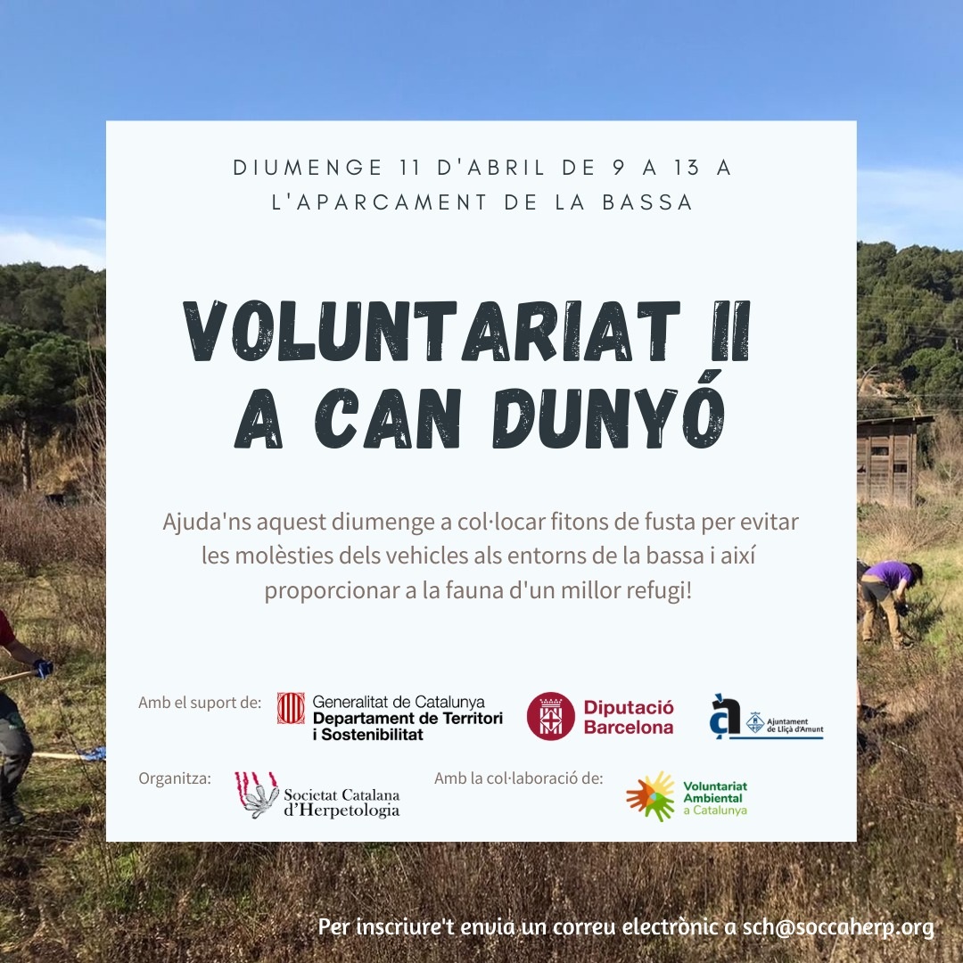 Nova acció de voluntariat a la bassa de Can Dunyó