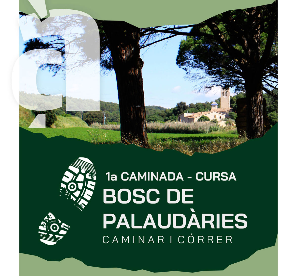 Caminada-cursa popular per l'entorn del bosc de Palaudàries