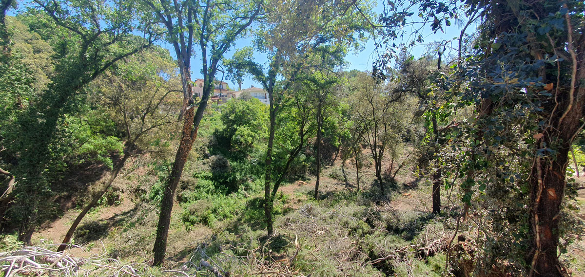 Franges de protecció contra incendis forestals