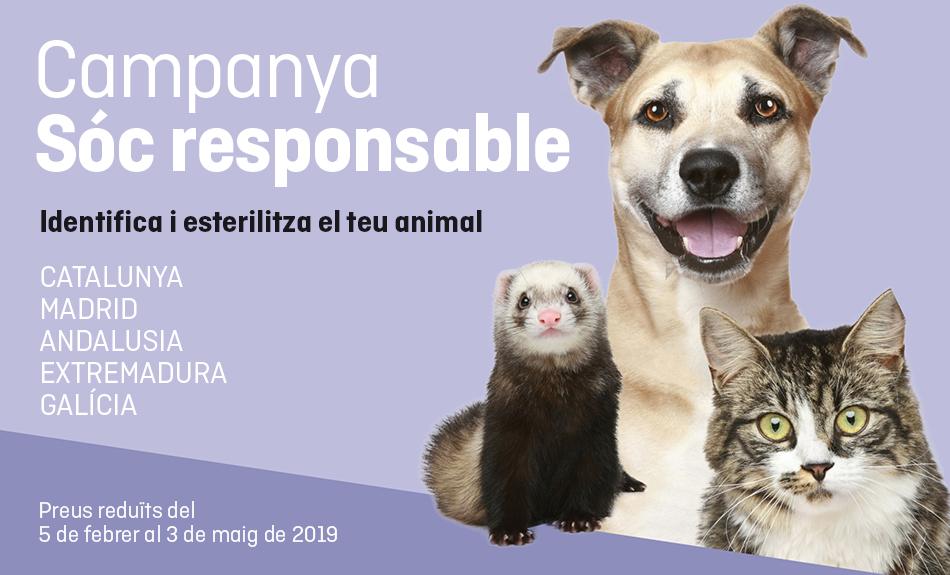 En marxa la nova campanya de FAADA per a la esterilització i identificació d'animals de companyia