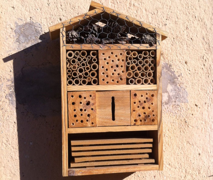 De l'Hort a la biblioteca: Construïm hotels d'insectes