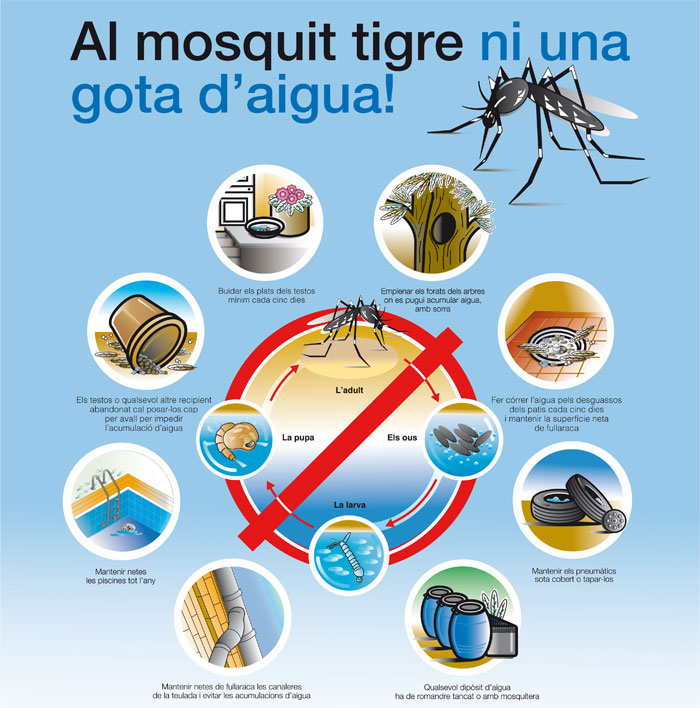 Prevenció per al control del mosquit tigre